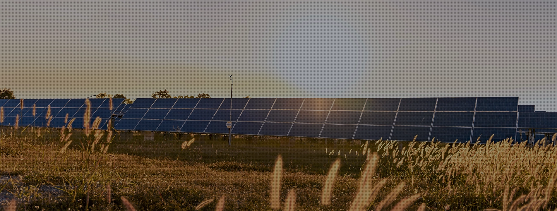étude de rentabilité d’une installation photovoltaïque professionnelle