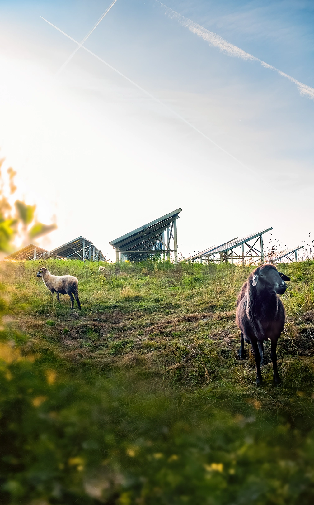 f609d7b7-bandeau_image_agricole